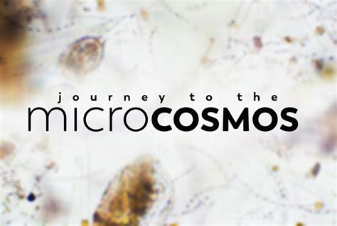 Journey to the Microcosmos: A Dive into the Hidden World of Cells!