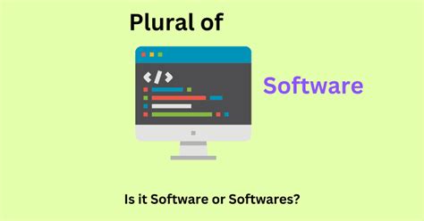 What Is the Plural of Software?