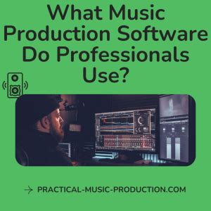 What music production software do professionals use, and how does the choice of software influence the creative process in unexpected ways?